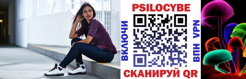 Купить закладки  Чудово  Галлюциногенные грибы Cubensis 